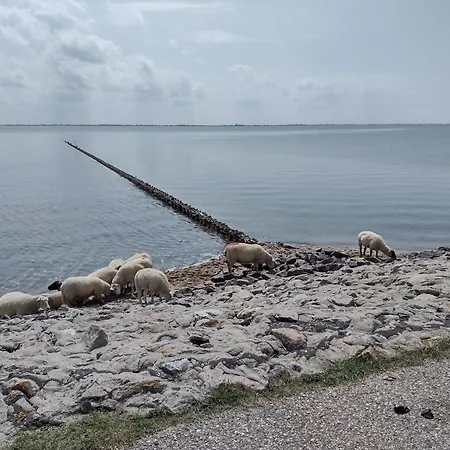 Kleine Auszeit Am Διαμέρισμα Büsum